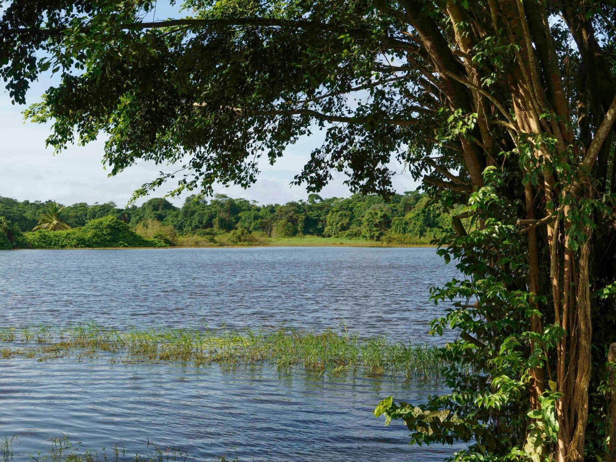Hotel Mercure Kourou Ariatel Kültér fotó